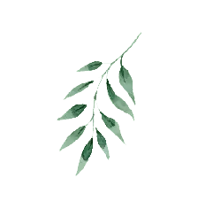 Green Leaves - fresh - Lossless PNG