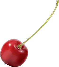 Cherry - eatable - smooth - Free Download PNG