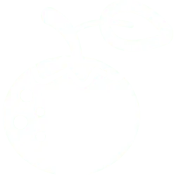 Apple - juicy - healthy - High Resolution PNG