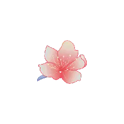 beautiful - Cherry Blossom - Designer Recommended PNG