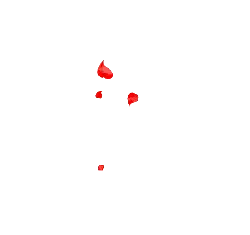 Red Petals - red - beautiful - No Watermark PNG