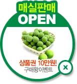 Pistachio - fresh - High Resolution PNG