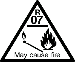 Black Owl - Transparent Background PNG - night hunter - Pic 2