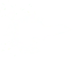 Abstract Geometric Shapes - modern design - minimalist style - Transparent Layer PNG