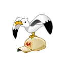 Seagull - helmet - High Resolution PNG