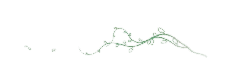 Vine - Popular Download PNG