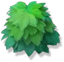 Green Plant - Free PNG