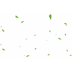 Leaves Falling - autumn - High Resolution PNG