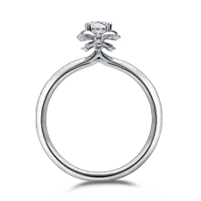 Diamond Ring - jewelry - PNG