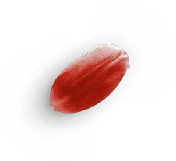 Petal - red - Curated PNG