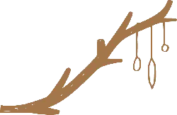 Branch with Rings - nature - Free PNG