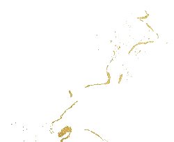 Abstract Artwork - ink - High Download Count PNG