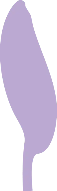 Purple Leaf - High Download Count PNG