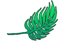 Green Leaf - leaf - ecology - Free PNG