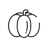 Pumpkin - vegetable - Curated PNG