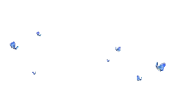 Blue Butterfly - High Quality PNG