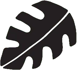 Leaf - Lossless PNG - PNG Images