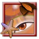 Starfish and Leaves - marine life - Transparent Layer PNG