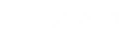Butterfly - shining - black background - Lossless PNG