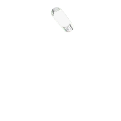 Apple - apple - High Resolution PNG