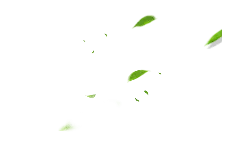 Glowing Green Leaves - night - Lossless PNG