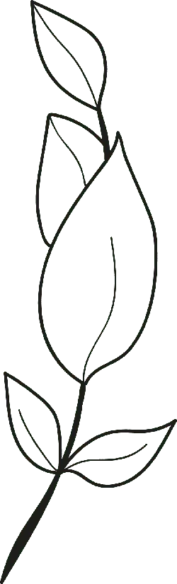 Leaf - simple - Transparent Background PNG