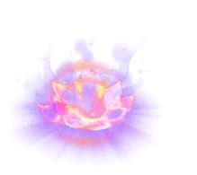 Light Lotus - magic - Transparent Background PNG