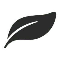 Leaf - No Watermark PNG - High Quality PNG