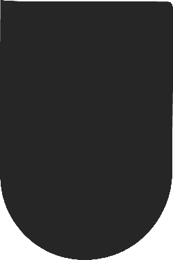 Black Shield - graphic - Transparent Layer PNG