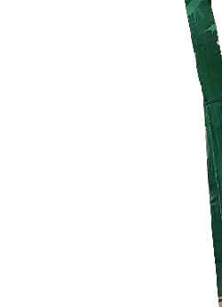 Bamboo - leaves - Free for Commercial Use PNG