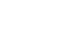 Spider Web - night - PNG Images
