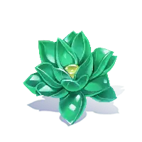 Succulent Plant - nature - leaves - PNG