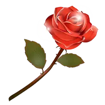 Rose - romance - High Download Count PNG