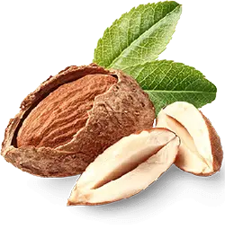 Almond - snack - green - PNG