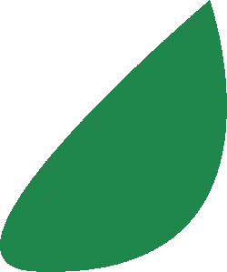 Leaf - plant - PNG