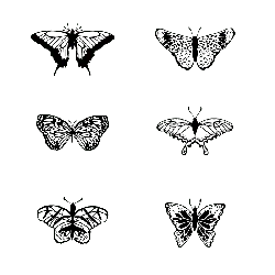 Butterfly - flying - Curated PNG
