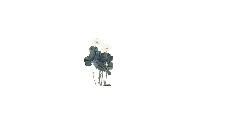 White Lotus - nature - PNG