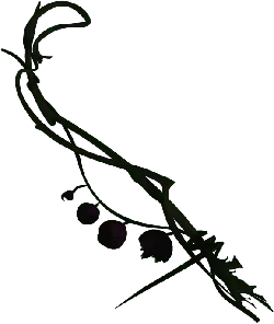 Vine Plant - plant - growth - Lossless PNG