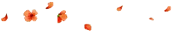 Petals Falling - Trending PNG