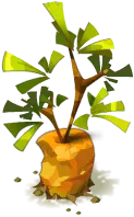 Tree Stump Plant - green - No Watermark PNG