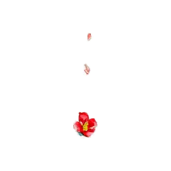 Red Flower - bloom - beautiful - High Resolution PNG