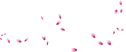 Pink Petals Falling - Transparent Background PNG - falling