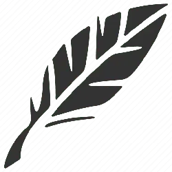 Feather - simple - Transparent Background PNG