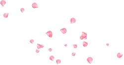 Pink Petals - romantic - Designer Recommended PNG