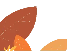 Autumn Leaves - leaves - abstract - Free Download PNG