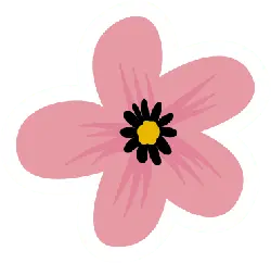 Pink Flower - Free for Commercial Use PNG - flower