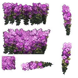 Purple Flowers - PNG Images