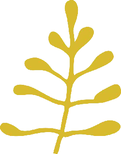 Abstract Plant Pattern - simple - Free Download PNG