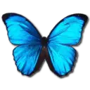 Blue Butterfly - High Download Count PNG