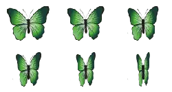 Green Butterfly - Designer Recommended PNG